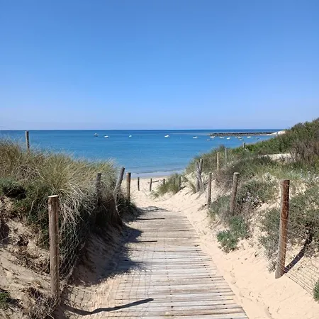Holiday home Maison A 100 Metres Et Piste Cyclable A 40 Metres Dolus-d'Oleron